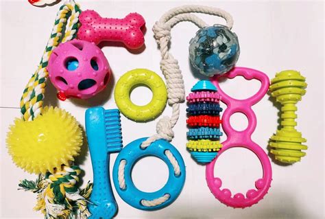 Dog T Set Dog Toy Pack Durable Chew Toys