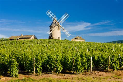 Beaujolais Villages Wineries What To Do In Beaujolais