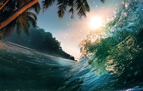 Tropical Waves Screensavers And Wallpaper Wallpapersafari