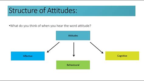 Social Cognition Structure Of Attitudes Youtube