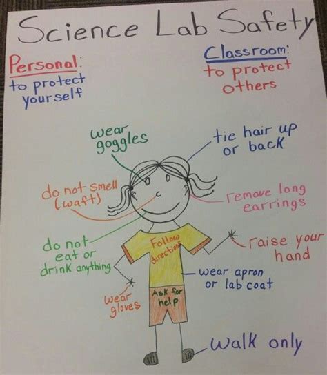 Lab Safety Rules Anchor Chart