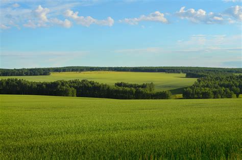 Green Fields And Hills Free Stock Photo Public Domain Pictures