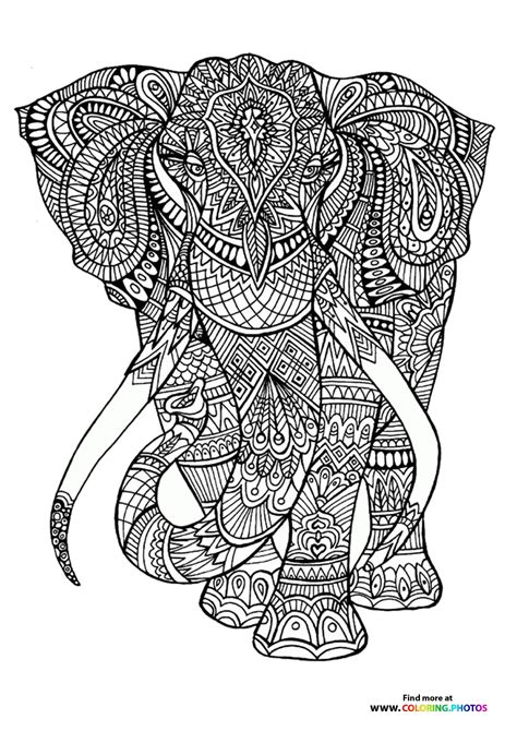 Elephant Coloring Page For Adults Coloring Pages For Kids
