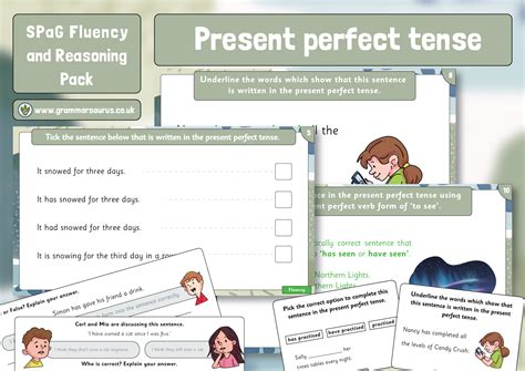 Spag Fluency Reasoning Pack Past Or Present Perfect Tense Hot Sex Picture
