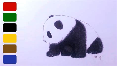 How To Draw A Baby Panda Cute Cub Youtube