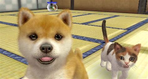 Nintendogs Cats Review For Nintendo 3ds Cheat Code Central