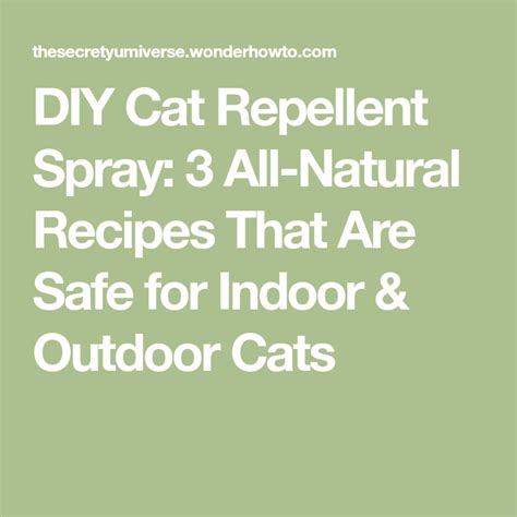 Available as pellets or diy garden is a uk garden website that aims to inspire, advise and help you improve your outdoor space. DIY Cat Repellent Spray: 3 All-Natural Recipes That Are ...