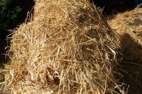 How To Make A Pile Of Straw Modeling Blender Artists Community