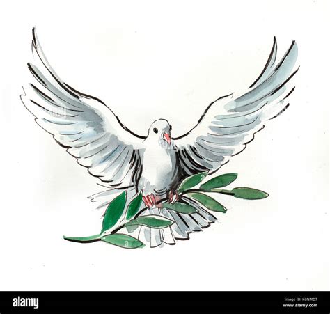 White Dove With An Olive Branch Symbol Of Peace Stock Photo Alamy