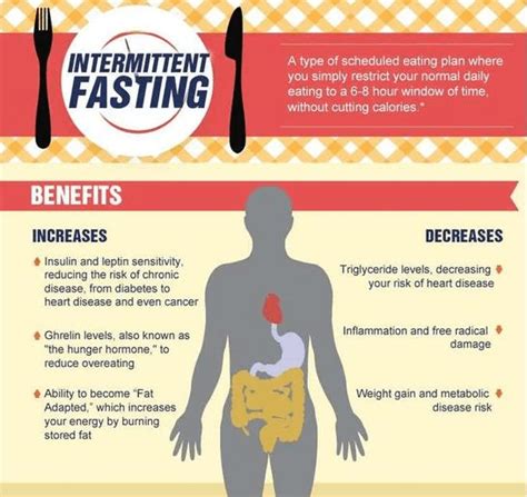 Intermittent Fasting For Bodybuilders Protein Bars