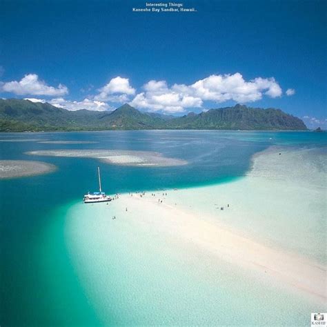 The Kaneohe Sandbar Is One Of The Most Beautiful Places In