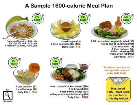 1100 Calorie Diet Menu For 7 Days Thepiratebaybio