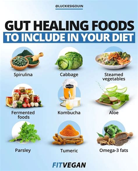 Gut Healing Foods To Include In Your Diet Conveganence