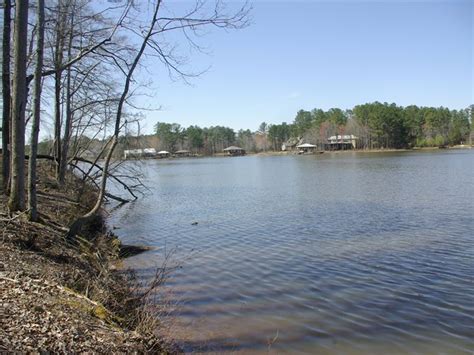 Neely Henry Lake 57 Acres 1400 Ft Ranch For Sale In Alabama 201323