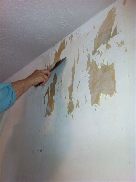 Removing Wallpaper Off Plaster Walls Carrotapp