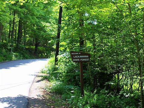 Pinchot State Forest In Pennsylvania Usa Sygic Travel