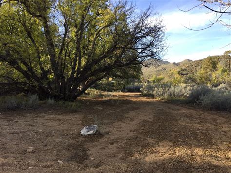 Moss Wash Trail Trails Offroad