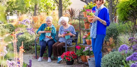 The Benefits Of Gardening For Seniors Hollenbeck Palms