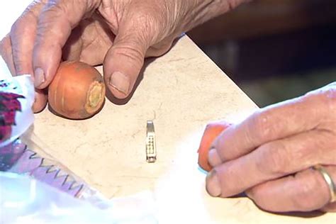 Woman Finds Lost Engagement Ring On A Carrot 13 Years Later