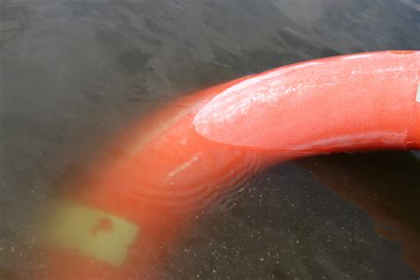 Around the Supper Table #185 – Understanding Jesus – Sanctuary Family Farms