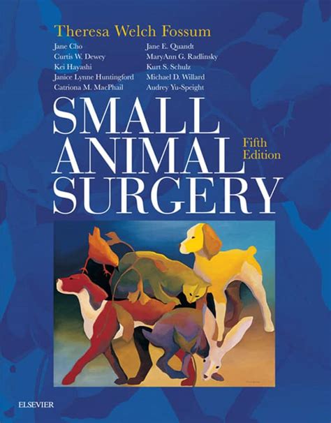 Small Animal Soft Tissue Surgery 2nd Edition Vetbooks