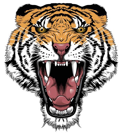 Tiger Roar Transparent Png All