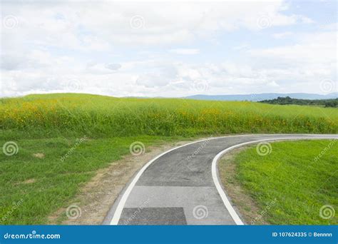 Winding Road Over Green Hill Stock Image Image Of Hillside Meadow