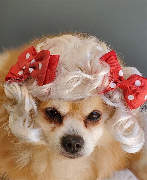 Pet Blond Color Wig With Red Color Bow For Dog Or Cat Puppy Clothes Diy