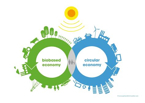 Biobased Economy Circular Economy Circular Economy Innovation