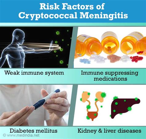 Cryptococcal Meningitis Causes Risk Factors Symptoms Diagnosis