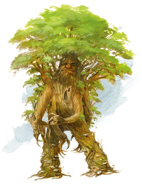 D And D 5e Character Builder Dryad Yydaser