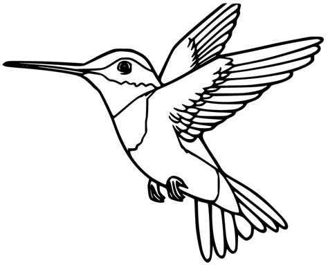 59 Free Printable Hummingbird Coloring Pages