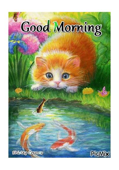 Morning Animated Quotes Cat Fish Picmix Gifs