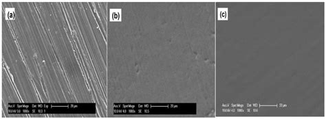 Jfb Free Full Text Bioactive Synthetic Polymer Based