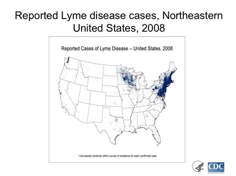 Lyme Disease Information