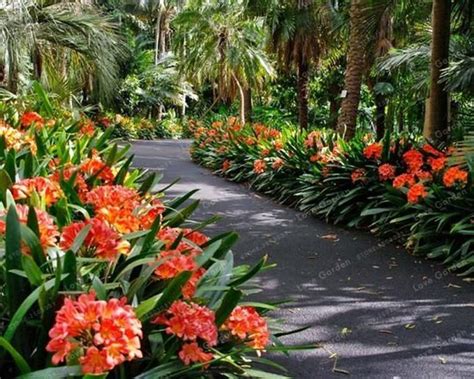 34 Lovely Tropical Garden Design Ideas Magzhouse Landscaping Shrubs