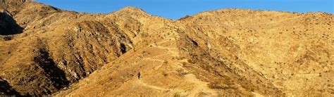 Bump And Grind Trail Guide Palm Desert