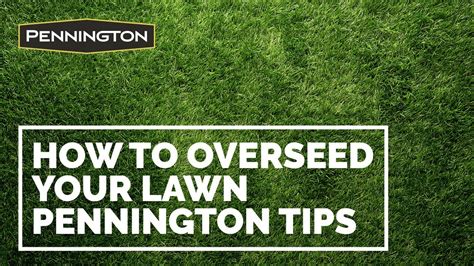 The experts all agree that regular overseeding is vital to help thicken your lawn and fill in bare spots, which reduces or eliminates competition from weeds. Tips from Pennington for Seeding or Overseeding Your Lawn - YouTube