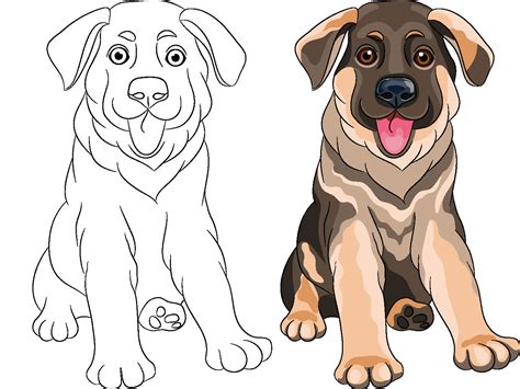 Imagenes De Perros Tiernos Cachorros Para Colorear Dibujos De Perros