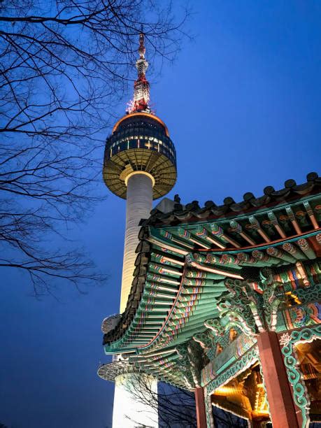 2600 N Seoul Tower ภาพถ่ายสต็อก รูปภาพ และภาพปลอดค่าลิขสิทธิ์ Istock