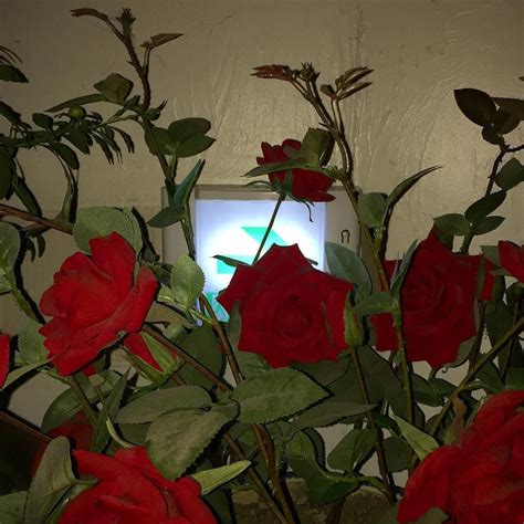 ᴡғᴀɪʀʏᴛᴀʟᴇ Red Aesthetic Red Roses Beautiful Flowers