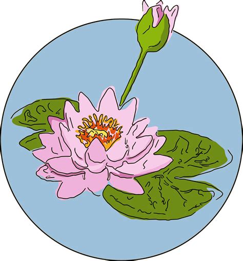 Share More Than 117 Water Lily Drawing Easy Vn