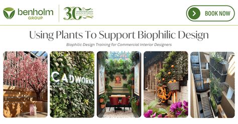 What Are The Main Challenges And Solutions In Implementing Biophilic