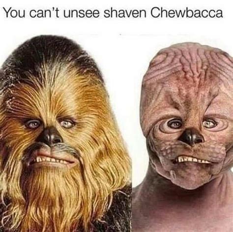 Top 50 Funny Star Wars Memes For The True Fans Of The Epic Saga