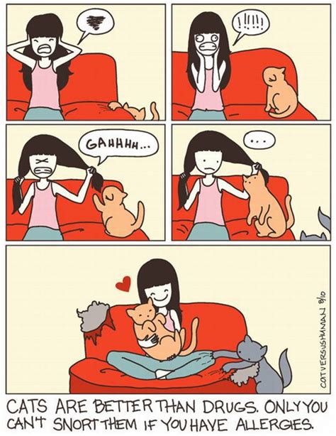 Hilarious Comics With Cats Pics Izismile Com