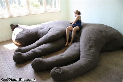 10 Really Weird Beds You Might Not Be Able To Sleep In Curious And Cozy