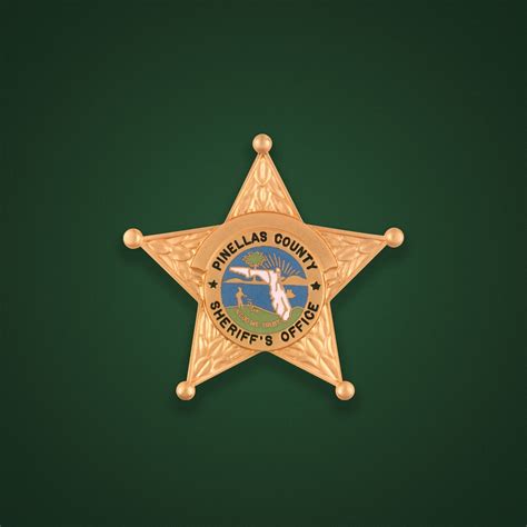 Spring Break 2024 Pinellas County Fl - Sydel Fanechka
