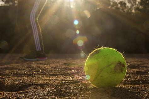 Tennis Ball On A Sunny Evening Photograph By Beygan Sundaramurthy