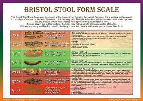 Image Result For Bristol Stool Chart Pdf Bristol Stool Bristol Stool