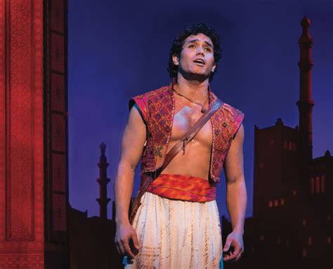 5 Reasons To See Aladdin On Broadway Aladdin Broadway Reasons Sari Notebooks Saree Saris
